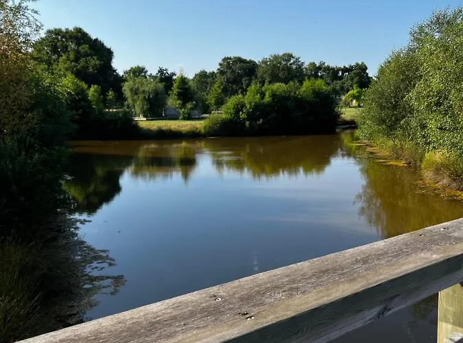 Le Nid Du Teich