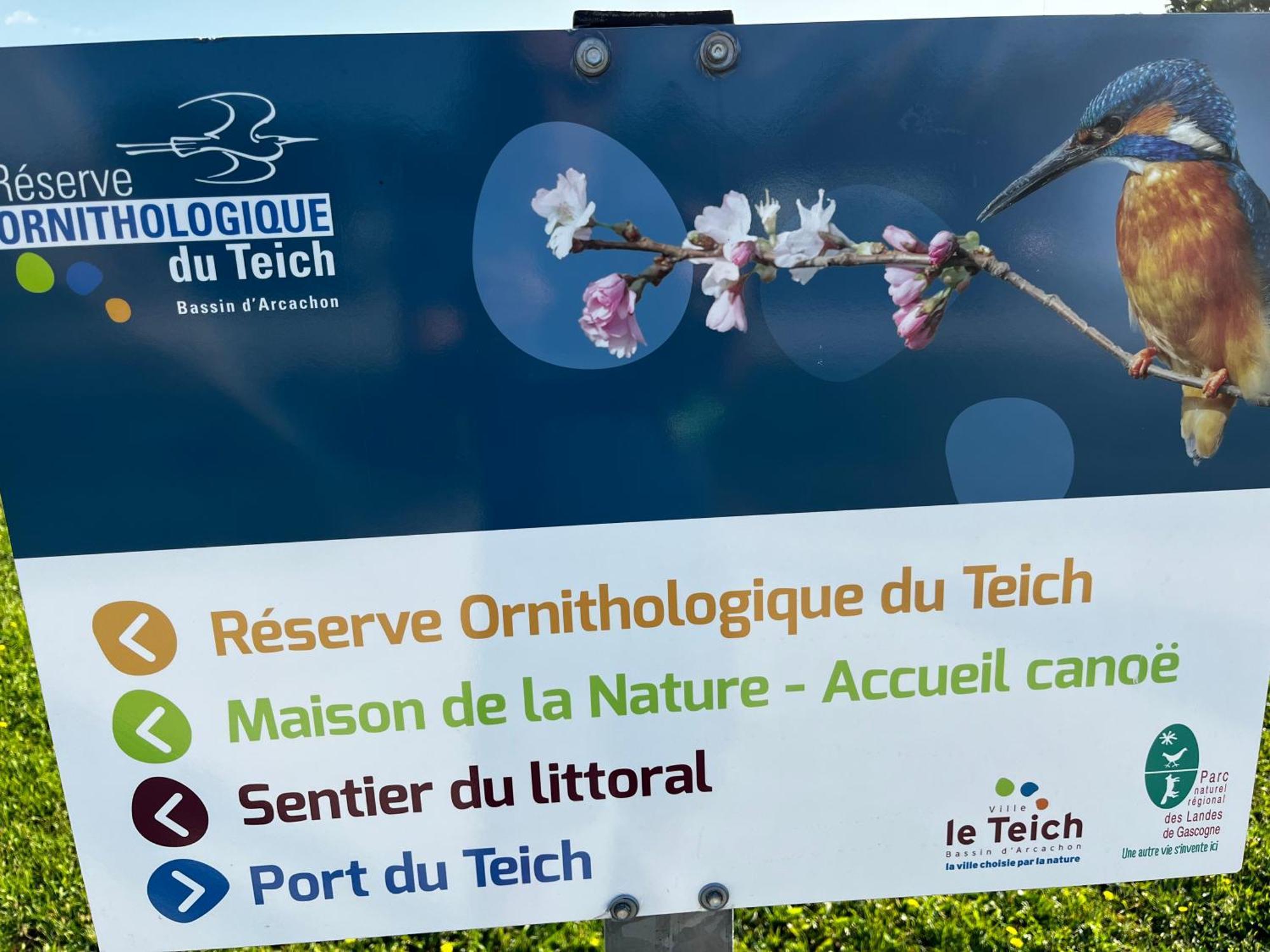 Apartment Le Nid Du Teich Le Teich